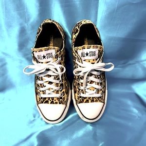 Converse All-Stars leopard print